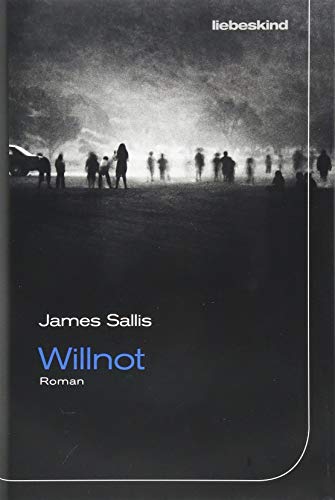 Willnot: Roman von Liebeskind